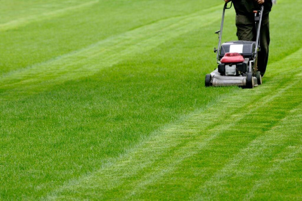 commercial lawn care service