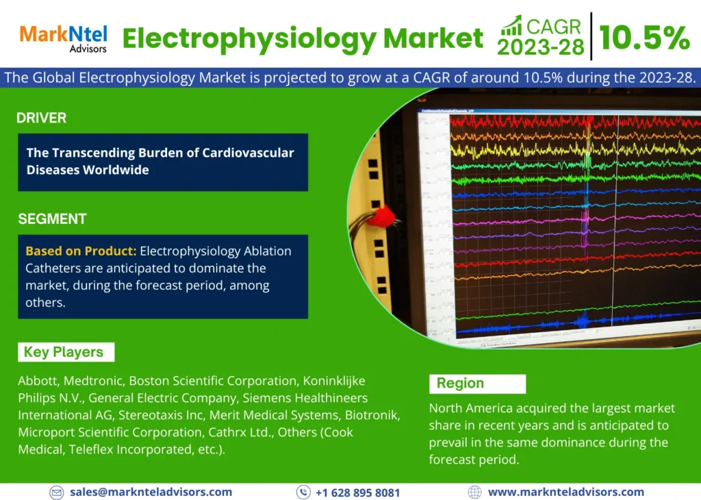 Global Electrophysiology Market