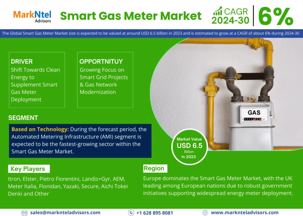 Smart Gas Meter Market