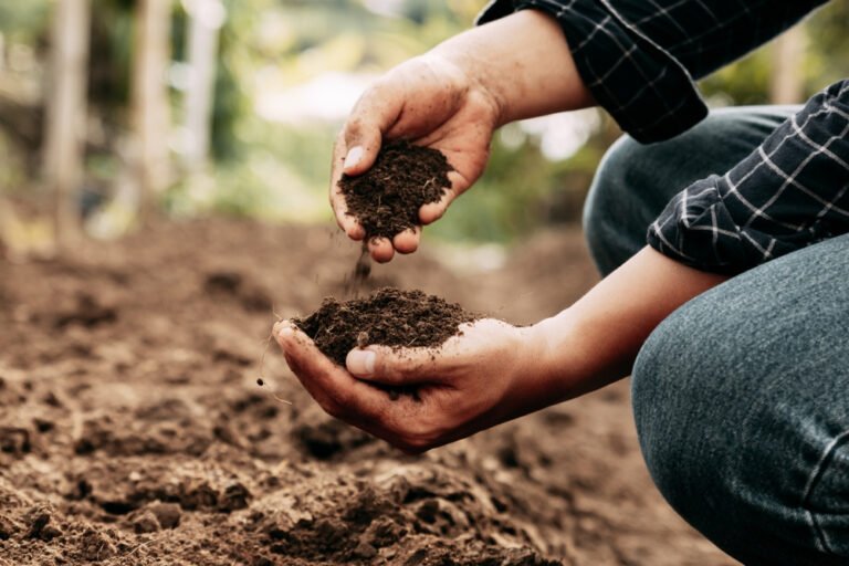 Soil Testing For Construction