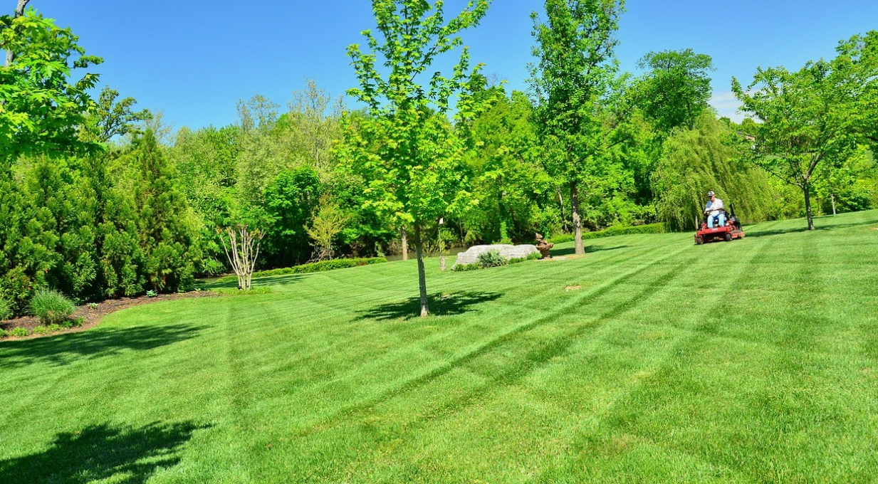 Lawn Care Services Offered by Seasons 360 in Edmonton