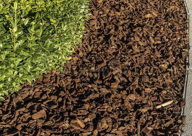 Affordable Mulch for Sale: Transform Your Garden Without Breaking the Bank