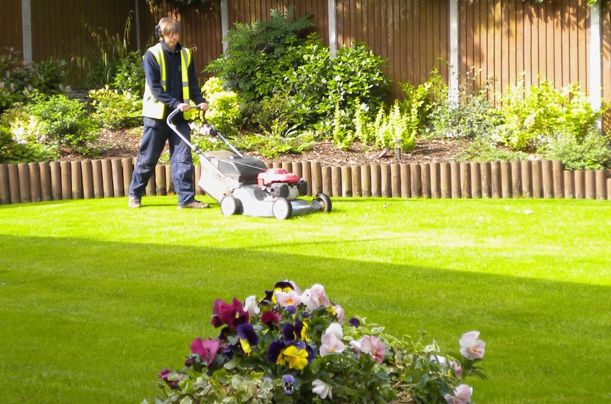 Edmonton Lawn Care Experts: Residential & Commercial Services | Seasons 360