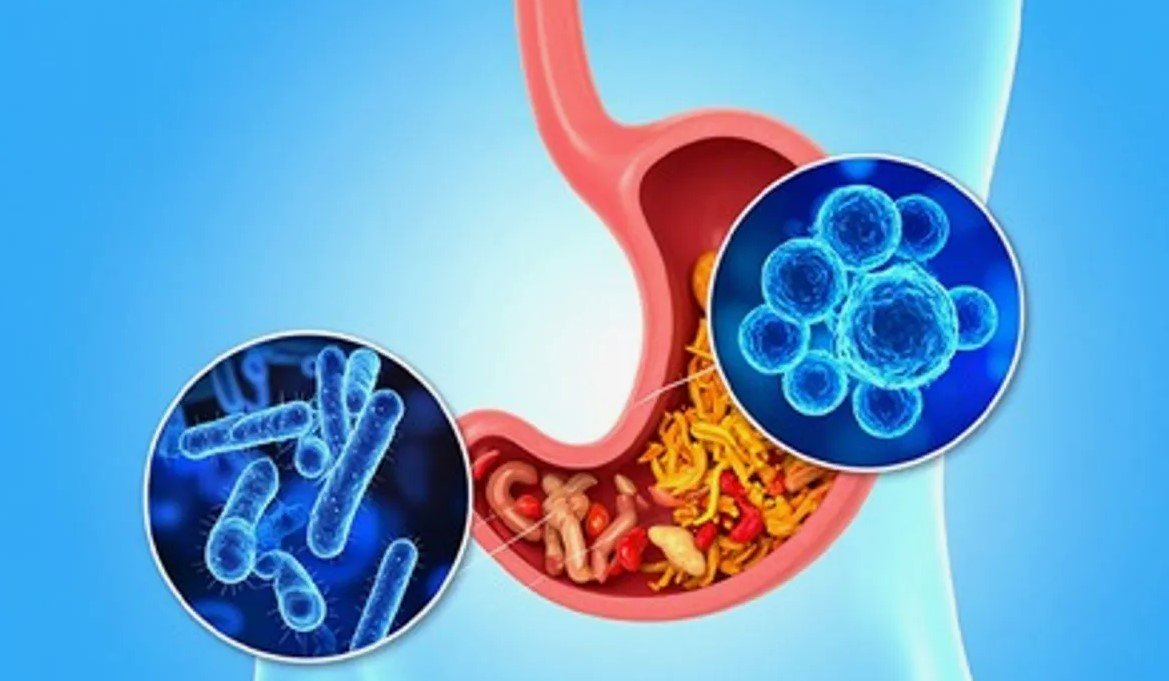 Best Gut Health Treatment Honolulu 2025 (Fix Bloating Fast)