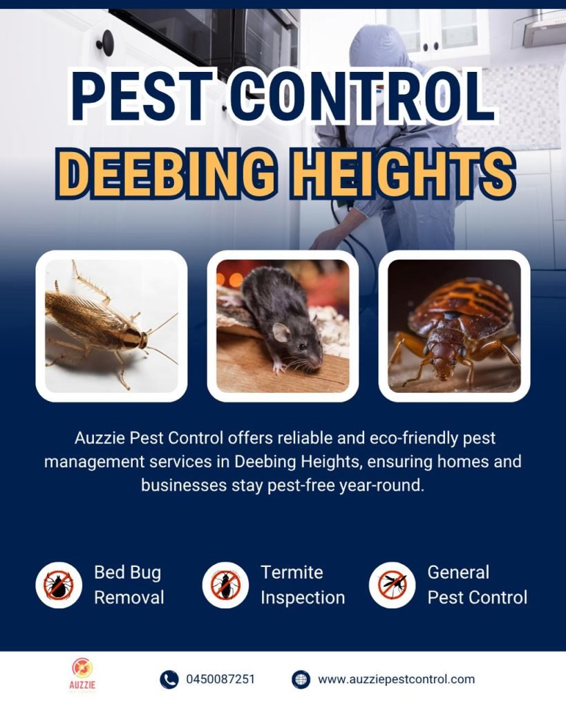 Summer Pest Prevention Checklist for Deebing Heights Homeowners