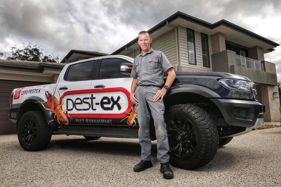 Pest Problems Gold Coast